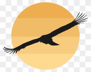 Flying Clipart Wild Bird - Bird & Sun Logo Png Transparent Png