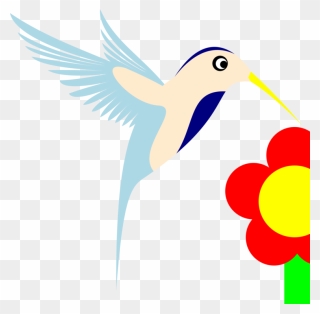 Bird Of Prey Clipart Hummingbird - Bird - Png Download