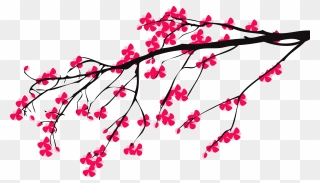 Transparent Cherry Blossom Branch Clipart - Cherry Blossom Tree Branch Png