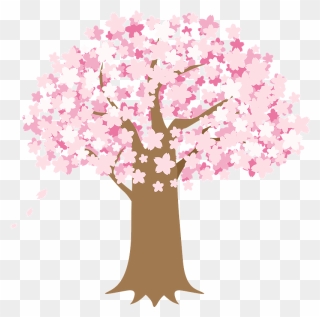 Cherry Blossoms Tree Clipart - Cherry Blossom Viewing Clipart - Png Download