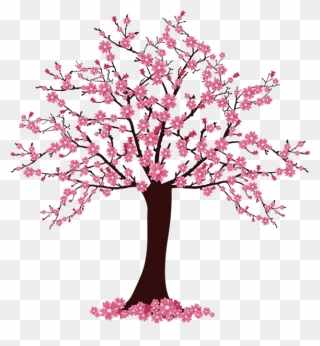 Cherry Blossom Tree Clip Art - Cherry Blossom Tree Clipart - Png Download