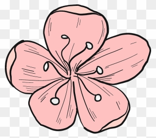 Cherry Flower Clipart - Png Download