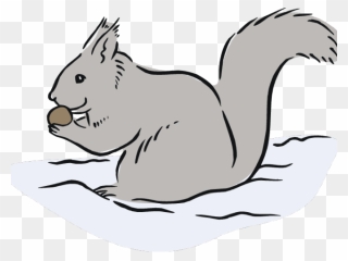 Gray Squirrel Clipart Cute Free Clipart On - Free Clipart Black And White Squirrels - Png Download