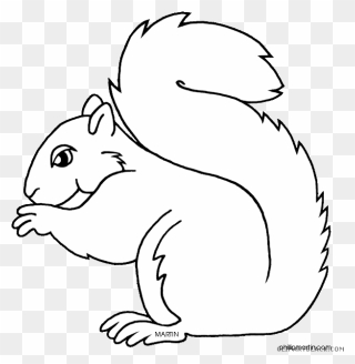 Transparent Squirrel Clip Art - Kentucky State Animal Drawing - Png Download