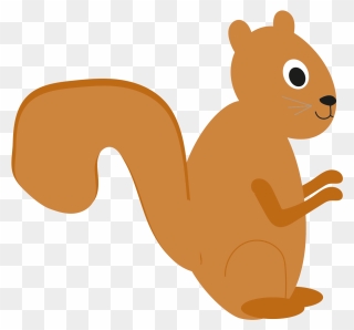 Transparent Cute Squirrel Clipart - Png Download