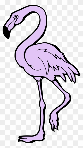 Clip Art Black And White Flamingo - Png Download
