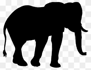 Indian Elephant African Elephant Silhouette Clip Art - Elephant Silhouette - Png Download