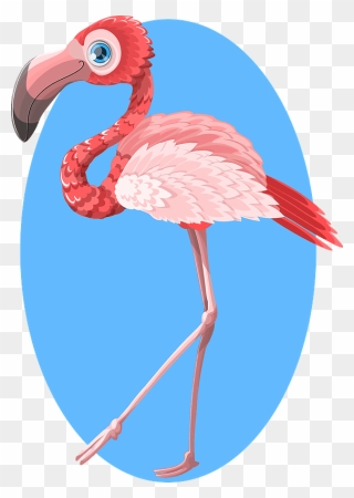 Flamingo Bird Clipart - Png Download
