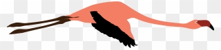 Flamingo Clipart Flying - Illustration - Png Download