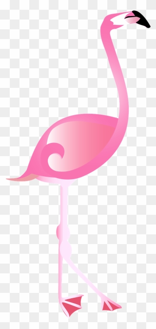 Flamingo Pixabay Clipart