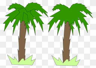Tree Palm Png - 2d Palm Tree Png Clipart