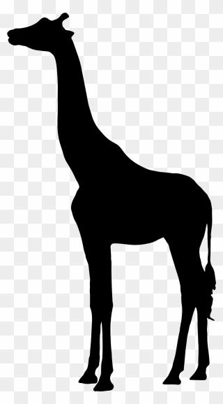 Clipart - Giraffe Silhouette - Png Download