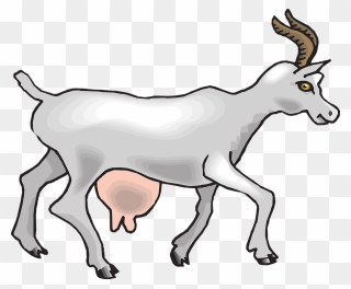 Collection Of Free Goat Drawing Side View Download - Goat Ram Cartoon Side View Clipart