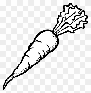 Clipart Carrot Outline Images - Carrot Black And White Clipart - Png Download
