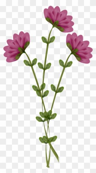 Mlc What May Be Flower59 - Flower Stick Png Clipart