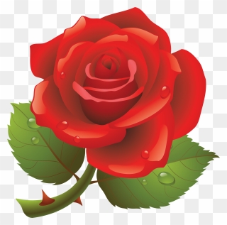 Rose Png - Happy Rose Day Pic Download Clipart
