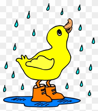 Rain Showers Clip Art Borders Cliparts - Duck In The Rain Clipart - Png Download
