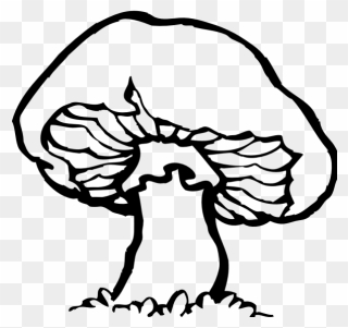 Mushroom Clipart Outline - Mushrooms Black And White - Png Download