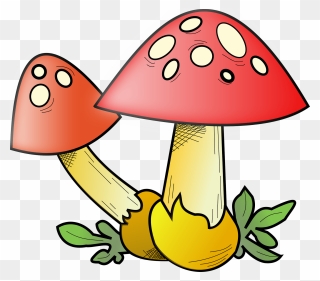Romanov Mushroom Clipart - Fungi Cartoon - Png Download