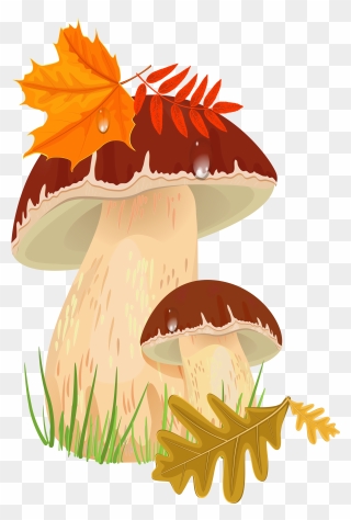 Transparent Toadstool Png - Fall Mushroom Clipart