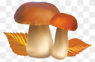 Free Png Mushroom Png Images Transparent - Mushrooms Clipart Transparent Background