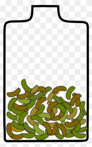Grass,leaf,area - Bean Clipart