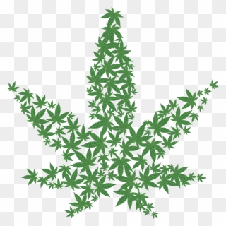 Transparent Marijuana Plant Clipart - Pot Leaf - Png Download