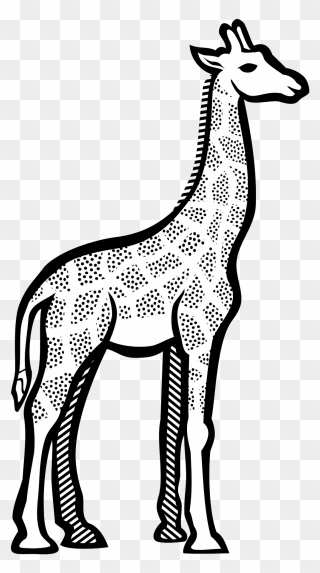 Giraffe In Art Drawing Clipart