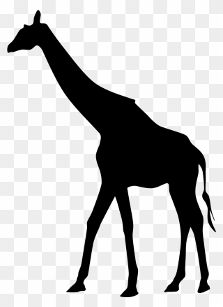 Giraffe African Animals Silhouette Clipart