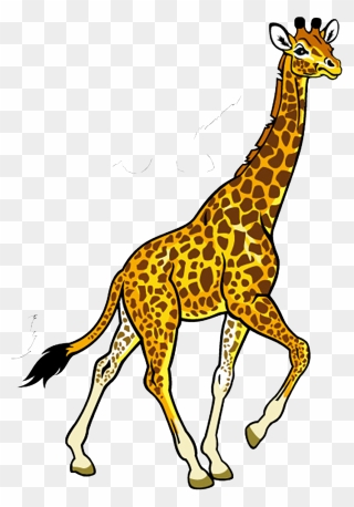 Clipart Giraffe Jungle, Clipart Giraffe Jungle Transparent - Nairobi National Park - Png Download
