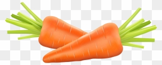 Carrot Photography Euclidean Vector Clip Art - Carrot Clipart Png Transparent Png