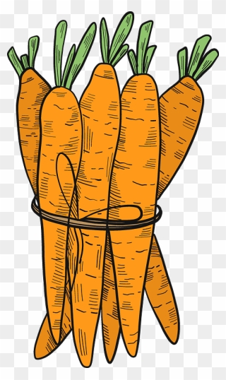 Carrots Clipart - Png Download