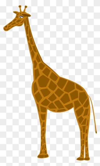 Giraffa Clip Art - Giraffe - Png Download