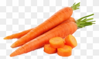 Carrot Png Transparent Images - Transparent Background Carrots Png Clipart