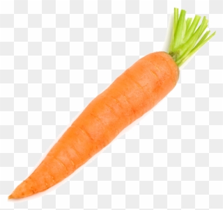 Carrot Vegetable Radish - Carrot On A White Background Clipart
