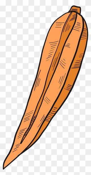 Carrot Cut In Half Clipart - Illustration - Png Download