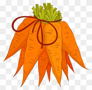 Carrot Clipart - Carrot - Png Download