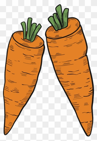 Two Carrots Clipart - Carrot - Png Download