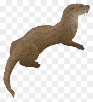 River Otter Clipart - Otter Clipart - Png Download