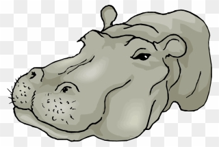 Free Hippo Clipart - Hippo Face - Png Download