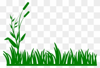 Grass Black And White Clipart