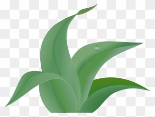 Green Leaves Clipart Grass Leaf - Jungle Leaves Clip Art - Png Download