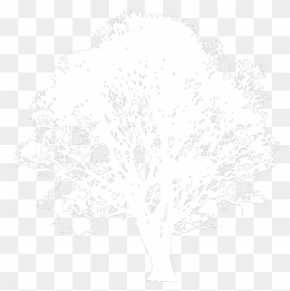 Brown Tree Svg Clip Arts - Black And White Tree - Png Download
