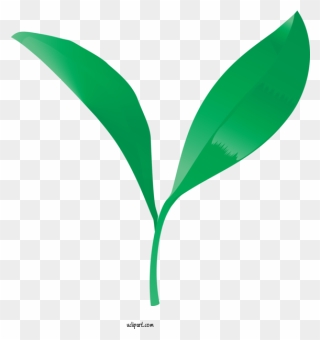 Transparent Nature Leaf Green Plant For Leaf For Nature Clipart