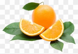 Orange-oranges - Transparent Background Orange Fruit Png Clipart