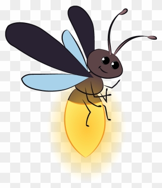 Firefly Clipart - Net-winged Insects - Png Download