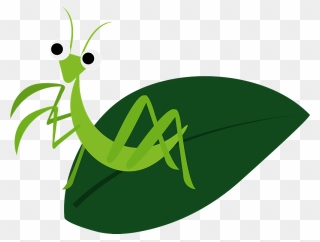 Mantis Insect Clipart - 無料 イラスト カマキリ - Png Download