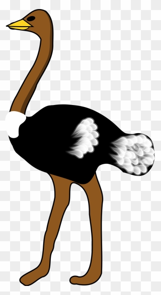 Transparent Background Ostrich Clipart - Ostrich Clipart Black And White - Png Download