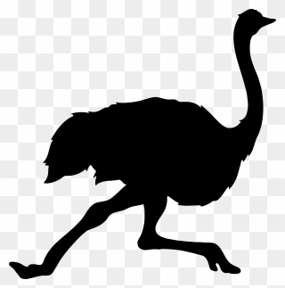 Ostrich Clipart Silhouette - Ostrich Silhouette Png Transparent Png