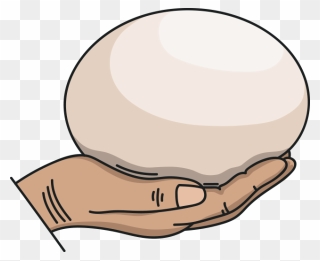 Cartoon Ostrich Egg Clipart